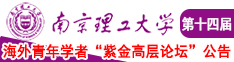 www.com.cn免费大片在线看污南京理工大学第十四届海外青年学者紫金论坛诚邀海内外英才！